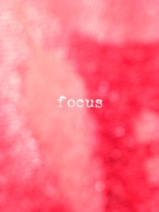 mcknight_focus
